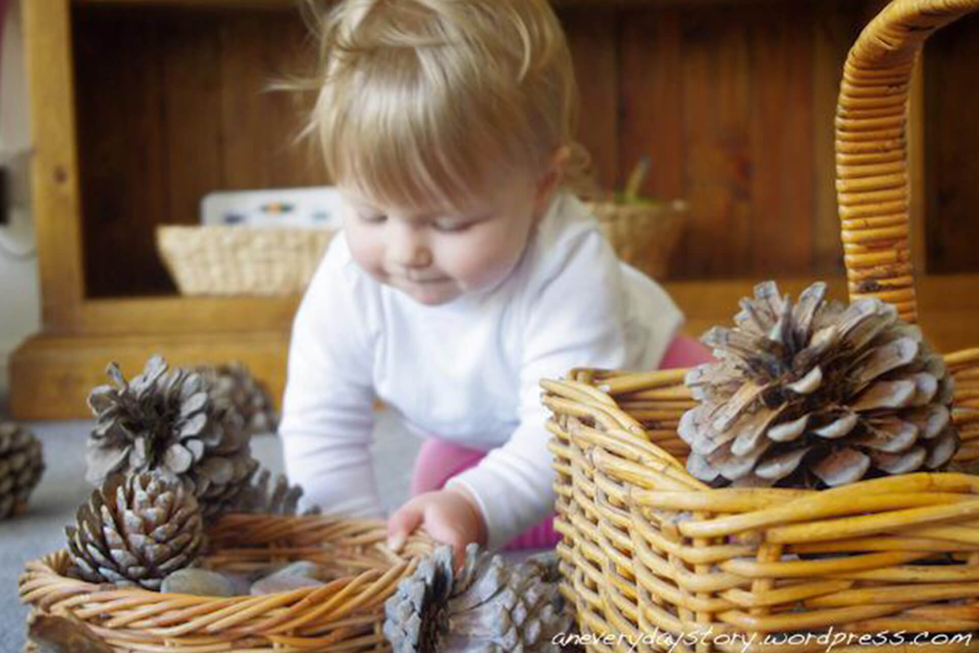 clever_bees_nursery_manchester_newton_heath_introduction-2-mobile