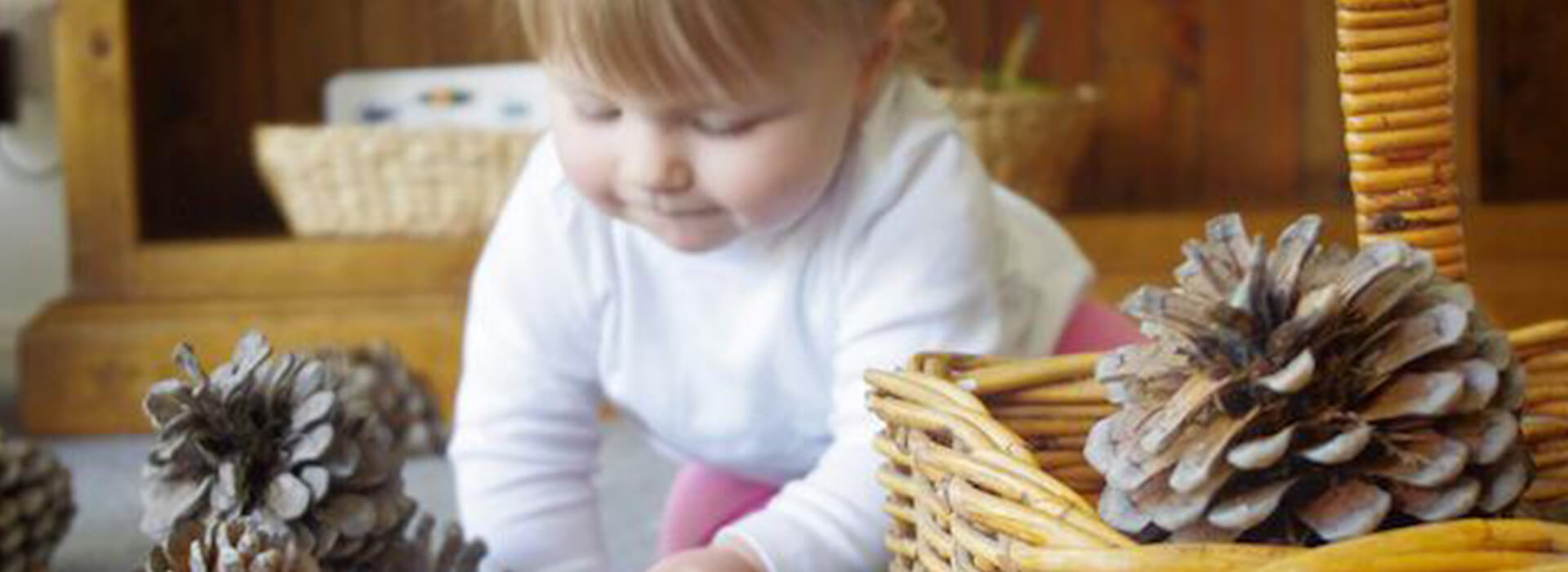 clever_bees_nursery_manchester_newton_heath_introduction-2